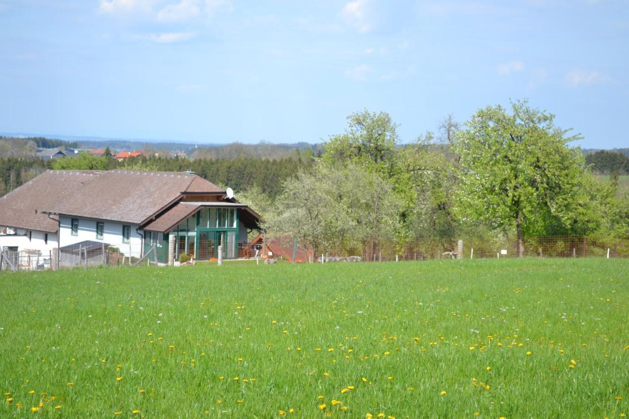 Apartamento Biohof Auinger, Der Tiererlebnishof Aurach am Hongar Exterior foto