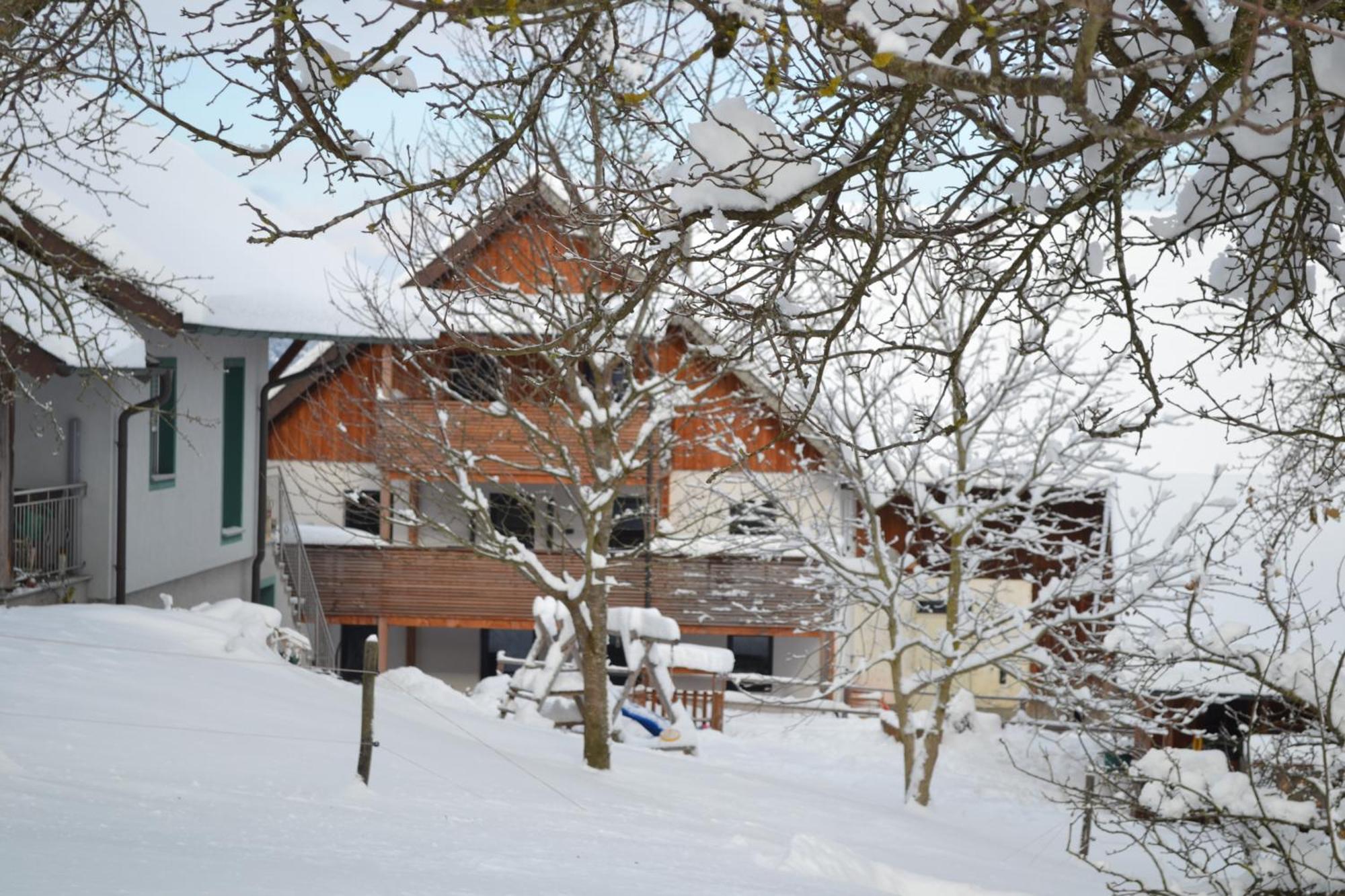 Apartamento Biohof Auinger, Der Tiererlebnishof Aurach am Hongar Exterior foto
